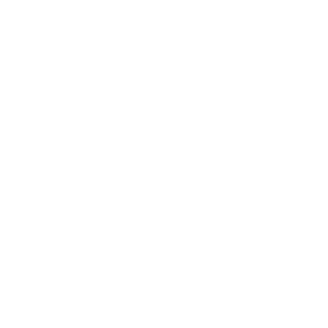 Aliante Solutions